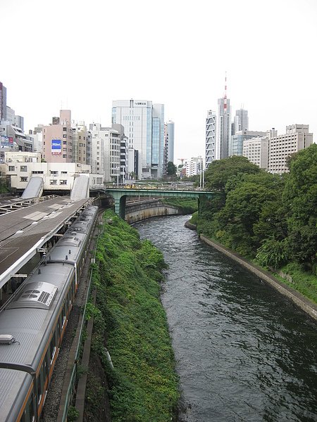 神田川（有人在泛舟嗎！？）