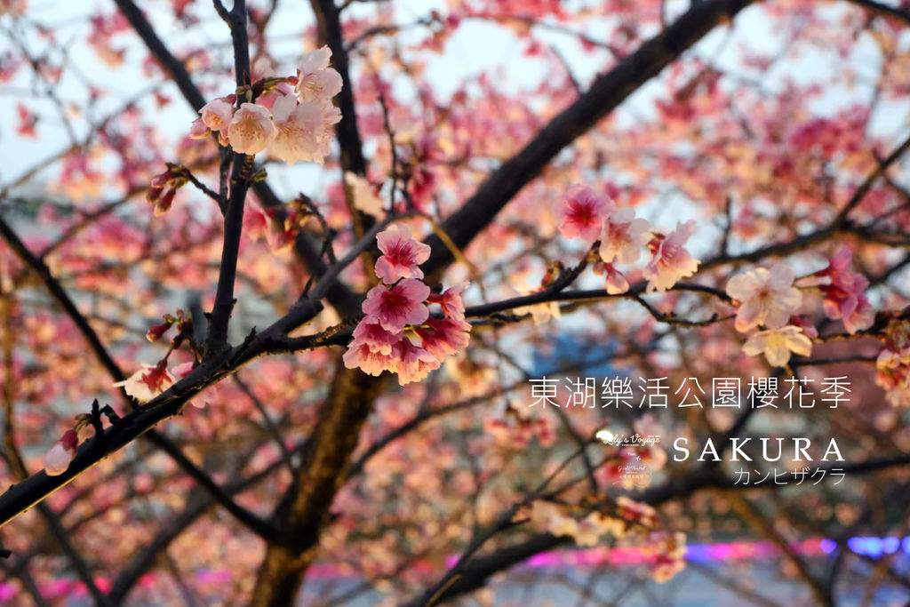 c59a32abf0f9329f9de6ac11066ec1f80_4620693218531019277_200401_0382.jpg c59a32abf0f9329f9de6ac11066ec1f80_4620693218531019277_200401_0382.jpg