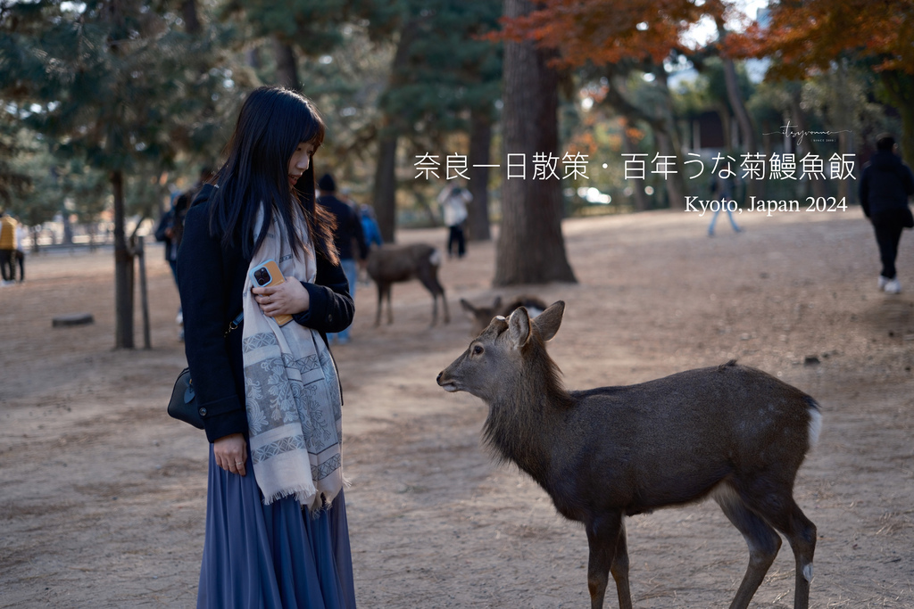 日本關西｜奈良一日散策・推薦百年老店－菊水樓「うな菊」鰻魚飯