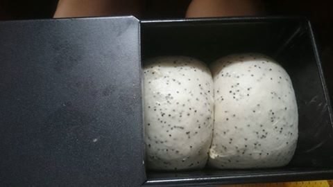 13325538_1296263753736853_5334496431003689142_n