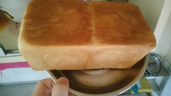 13240683_1286291144734114_1238238747204283484_n.jpg 13240683_1286291144734114_1238238747204283484_n.jpg