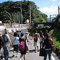 20081115 草嶺古道 019.jpg