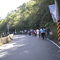 20081115 草嶺古道 074.jpg