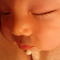 IMG_20121102_230155