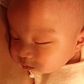 IMG_20121102_230203