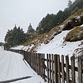 20110212 松雪樓玩雪 043.jpg