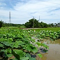 20110607 社大中壢賞蓮 009.jpg