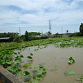 20110607 社大中壢賞蓮 026.jpg