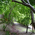 20110516 合歡山 065.jpg