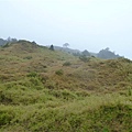 20110516 合歡山 062.jpg