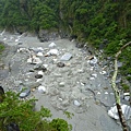 20110516 合歡山 086.jpg