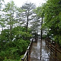 20110516 合歡山 031.jpg