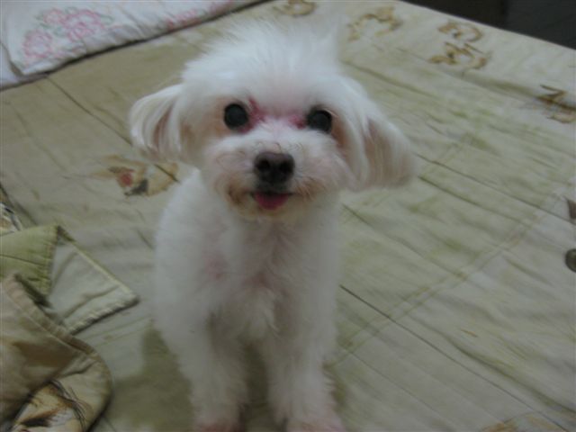 AMY AMY