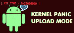 S2_KERNEL_PANIC