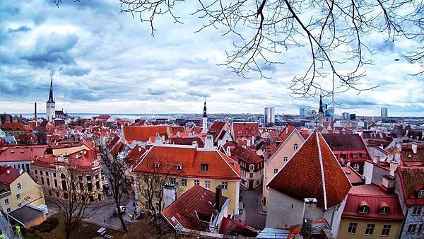 31213781_10216741841475789_7866718006942892032_o.jpg 31213781_10216741841475789_7866718006942892032_o.jpg