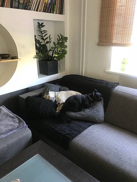 150天，57個城市，28位沙發主