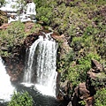 一瀉千里瀑布Florence waterfall@Litchfield