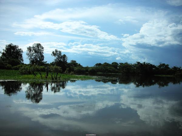20080329 kakadu 246.jpg