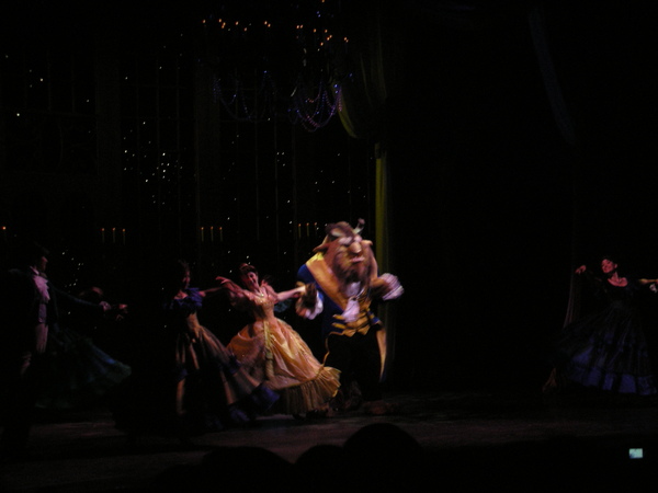 浪漫的美女與野獸