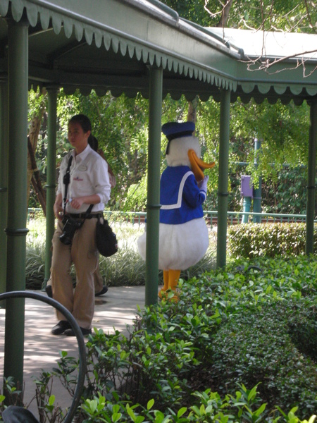 收工離去的唐老鴨