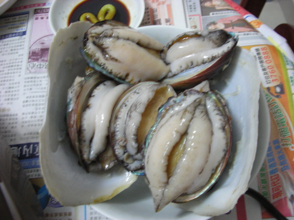 還活著的鮑魚(據稱也叫九孔)