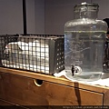 20161007_143759.jpg