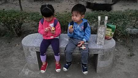 20131116_172053_7_bestshot.jpg