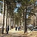 20140211_100302.jpg