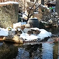 20140211_100405.jpg