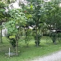 20140824_150520.jpg