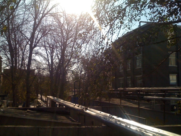 IMG_0175.JPG IMG_0175.JPG