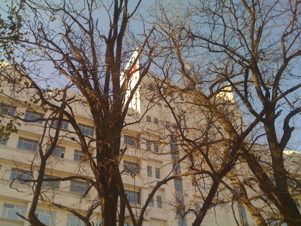 IMG_0177.JPG IMG_0177.JPG