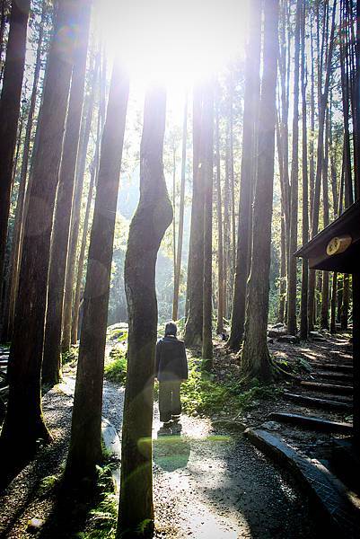 弘聖上師2.jpg 弘聖上師2.jpg