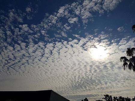 一覺元 文萃第 39期 【信而有徵】佛光普照瑞相呈 --宜孝師兄心得 .jpg