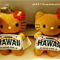 夏威夷限定 ♥ Hello Kitty 扶桑花彩虹車牌吊飾 