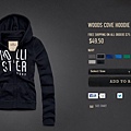 Hollister Woods Cove Hoodie N1.jpg