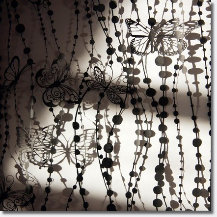 Butterflies rain.jpg Butterflies rain.jpg