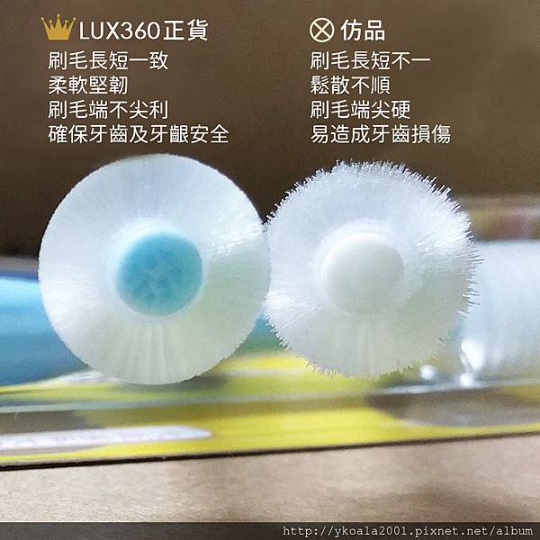 LUX360正仿比較(9).jpg