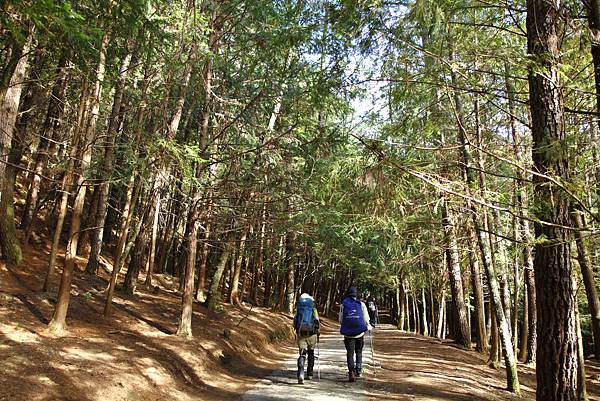 踏上往桃山的路上了  (前往桃山登山口)  約0830出發