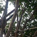 20130928_154823.jpg