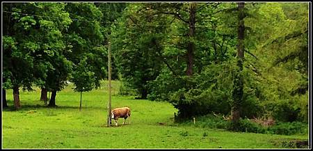 IMG_5842a IMG_5842a