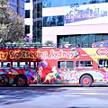 2011年4月澳洲素食自由行-雪梨篇-交通篇35