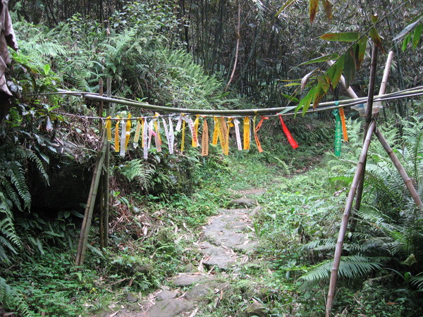 日本神社嗎?