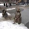 Frog Pond in Boston Common