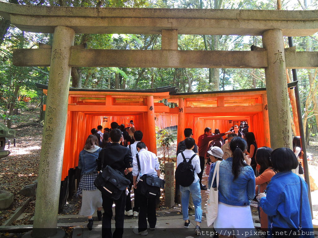 伏見稻荷大社千本鳥居前