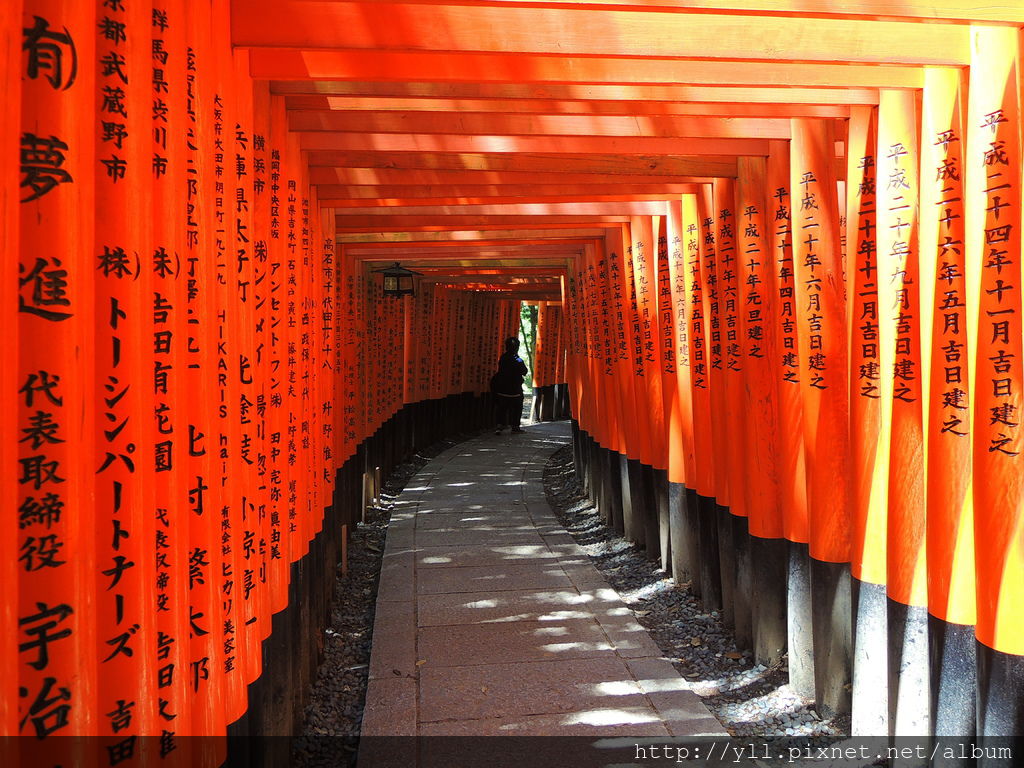 伏見稻荷大社千本鳥居 伏見稻荷大社千本鳥居