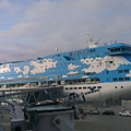 IMAG2763.jpg