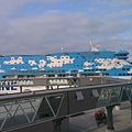 IMAG2768.jpg