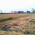 PIC000536.jpg