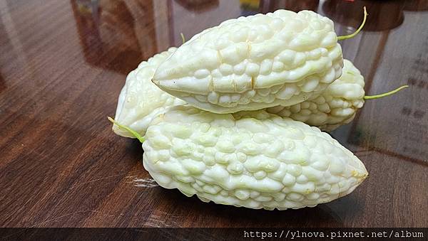 左腦和右腦想的不一樣